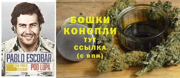 гидра Костерёво