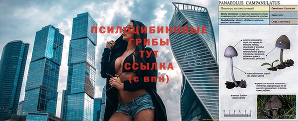 мяу мяу кристалл Коряжма