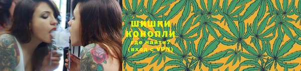 гидра Костерёво
