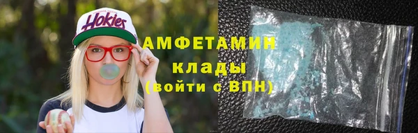 гидра Костерёво